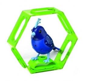 DigiBirds 3 z ramką Apollo - <br />