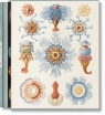 The Art and Science of Ernst Haeckel Julia Voss, Rainer Willmann
