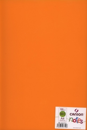 Szkicownik A4 Canson Notes 50 kartek pomarańczowy