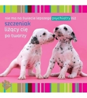 Magnes. Najlepszy psychiatra