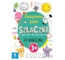 Zaczynamy pisać szlaczki