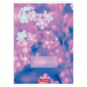 Zeszyt Herlitz A5/96k kratka z marginesem, 1 szt