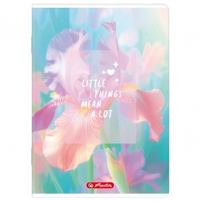 Zeszyt Herlitz A5/96k kratka z marginesem, 1 szt