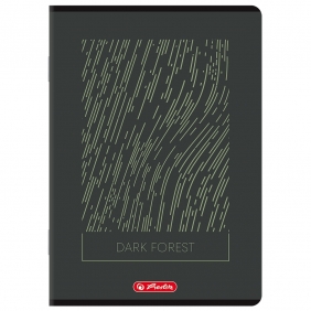 Zeszyt Herlitz A5/96k kratka z marginesem, 1 szt