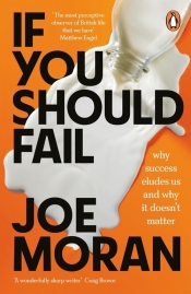 If You Should Fail - Moran Joe