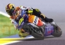 HELLER Honda RC211 V #46 Valentino Rossi (80910)