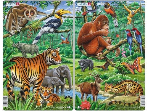 Dżungla (Indie i Południowo-Wschodnia Azja)