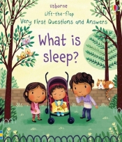 Lift-the-flap Very First Questions and Answers What is sleep? - Daynes Katie
