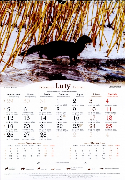 Kalendarz 2014 Łowiecki