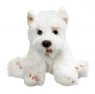  Pies West Highland Terrier