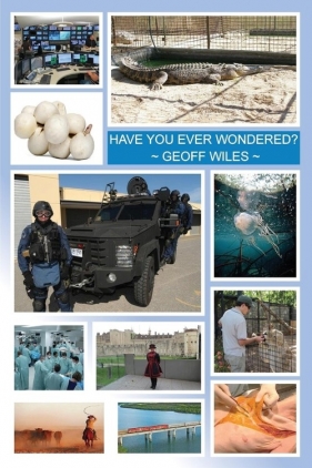 Have You Ever Wondered? - Wiles Geoff