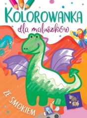 Kolorowanka dla maluszków ze smokiem - Ilona Brydak (ilustr.)