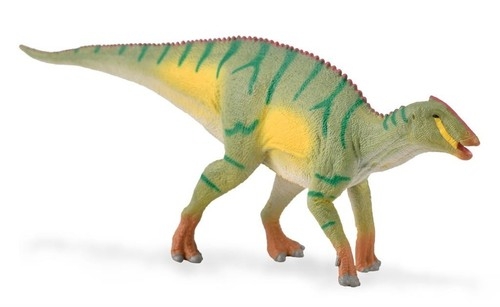 Kamuusaurus