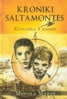 Kroniki Saltamontes. Ucieczka z mroku