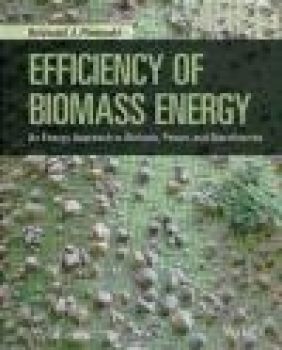 Efficiency of Biomass Energy Krzysztof Ptasinski