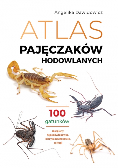 Atlas pajęczaków hodowlanych. 100 gatunków