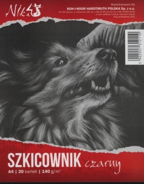 Szkicownik czarny A4 30 kartek