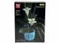 Klocki - orchidea w doniczce