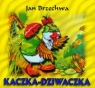 Kaczka-dziwaczka Jan Brzechwa