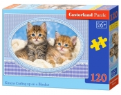 Puzzle Kittens Curling up on a Blanket 120 elementów (13111)