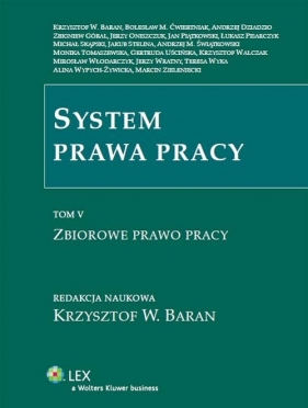 System prawa pracy