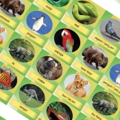 Memory Game Animals
