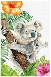 Notatnik ozdobny 105x165/64K kratka TW Koala