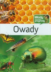 Owady Młody obserwator przyrody - Robert Dzwonkowski