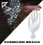 Kosmiczni bracia (Audiobook) - Krzysztof Boruń, Andrzej Trepka