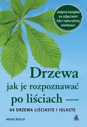 Drzewa – jak je rozpoznawać po liściach - Meike Bosch