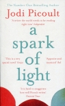 A Spark of Light Jodi Picoult