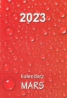 Kalendarz 2023 Kieszonkowy Mars