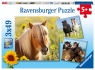 Ravensburger, Puzzle 3w1: Kochane konie (8011)Wiek: 5+