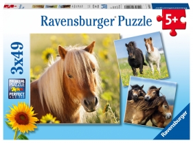 Ravensburger, Puzzle 3x49: Konie (08011)