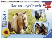 Puzzle 3w1: Kochane konie (8011)
