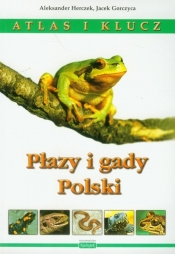 Płazy i gady Polski Atlas i klucz - Herczek Aleksander, Gorczyca Jacek