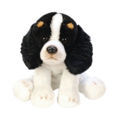 Pies Spaniel