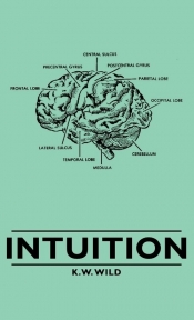 Intuition
