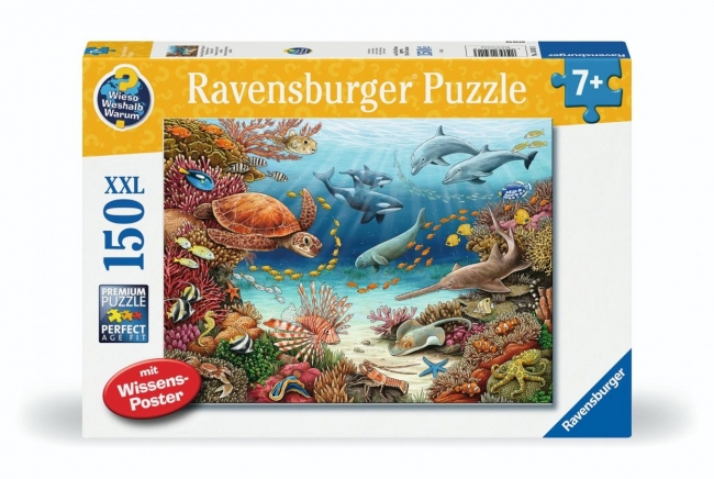 <img src='https://webimage.pl/pics/113/4/d4005556134113.jpg' style='height:440px' /> Puzzle 150 Under water