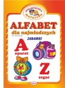 Alfabet dla najmłodszych Zabawki Budek Mariola