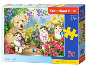 Puzzle 70: Best Friends (B-070114)