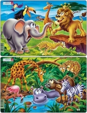 Safari - <br />