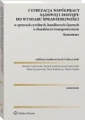 Cyfryzacja współpracy sądowej i dostępu do wymiaru sprawiedliwości w