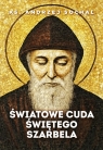 Światowe cuda świętego Szarbela Andrzej Sochal