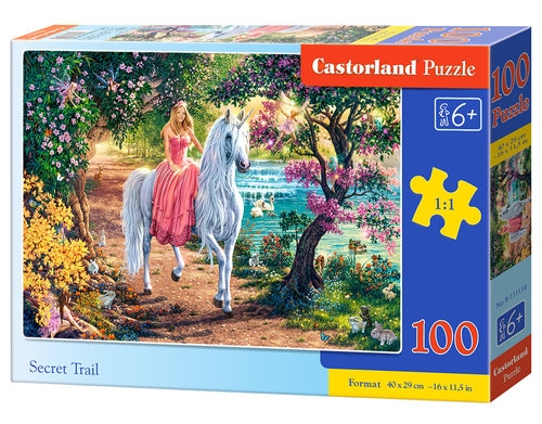 Puzzle 100: Secret Trail