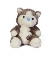 Pies Husky niebieski nosek