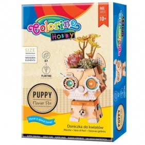 Zestaw plastyczny Patio KIDS CREATIVE (37114)