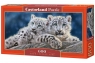 Puzzle Snow Leopard Cubs600 (B-060115)