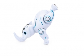 Robosłoń RC
