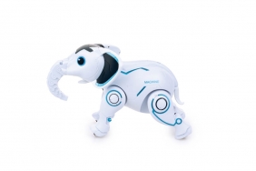 Robosłoń RC